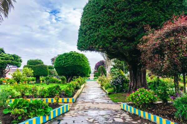 Lush greenery and neatly trimmed hedges line a vibrant path through Parque Principal Murillo in Tolima, Colombia.