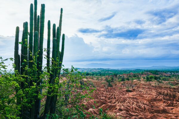 Tall cacti rise above the rugged, colorful landscape of the Tatacoa Desert in Huila, Colombia, under a dramatic sky.