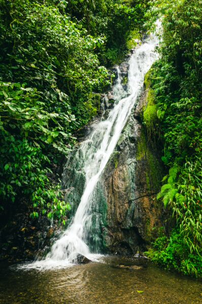 Crystal-clear waterfall flowing over rocks, surrounded by lush green vegetation in Termales Rosa, Risaralda, Colombia.