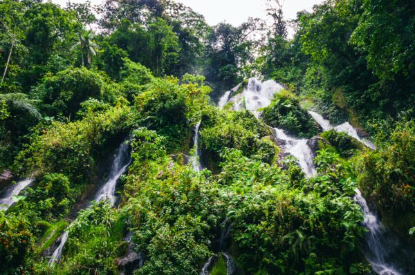 Lush green foliage cascades down steep cliffs with waterfalls streaming through vibrant vegetation in Termales Rosa, Risaralda, Colombia.