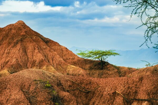 Red rock formations and a solitary green tree contrast with the dramatic sky in the Tatacoa Desert, Huila, Colombia.