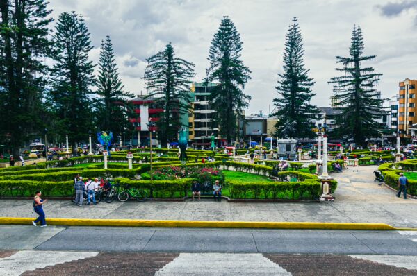 Lush green gardens and tall Araucaria trees create a vibrant atmosphere in Parque de las Araucarias, Santa Rosa de Cabal.