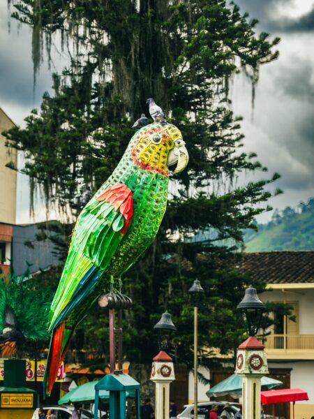 Colorful parrot sculpture in Parque de las Araucarias, Santa Rosa de Cabal, highlighting vibrant artwork against a lush backdrop.