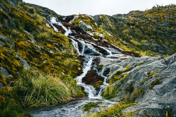 Crystal-clear water cascades down rocky slopes, surrounded by lush greenery at Nevado del Ruiz in Tolima, Colombia.