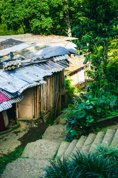 Rustic houses with metal roofs nestled among lush greenery and stone steps in Quindio, Montenegro, Colombia.