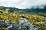 Sparse vegetation covers the rugged landscape of Nevado del Ruiz, fading into misty mountains under a cloudy sky in Tolima, Colombia.