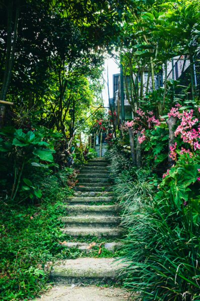 Lush greenery frames a stone staircase lined with vibrant flowers, leading through a serene garden in Quindio, Colombia.