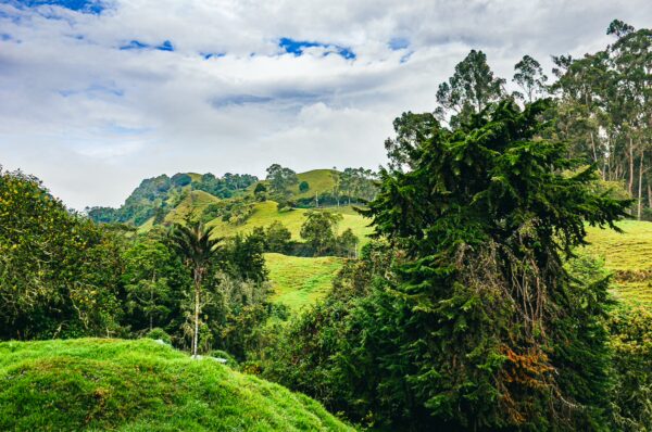 Lush green hills and diverse trees characterize the scenic landscape of Murillo, Tolima, Colombia under a cloudy sky.