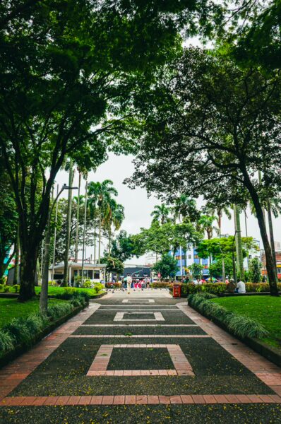 Lush greenery frames a paved walkway leading to Parque La Libertad, vibrant with palm trees in Pereira, Risaralda, Colombia.