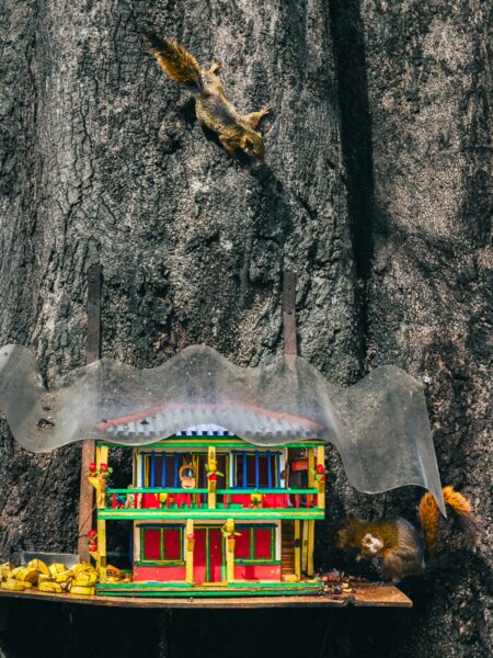 Colorful miniature house with details on a tree trunk, accompanied by a squirrel in a lush environment in Montenegro, Quindio, Colombia.