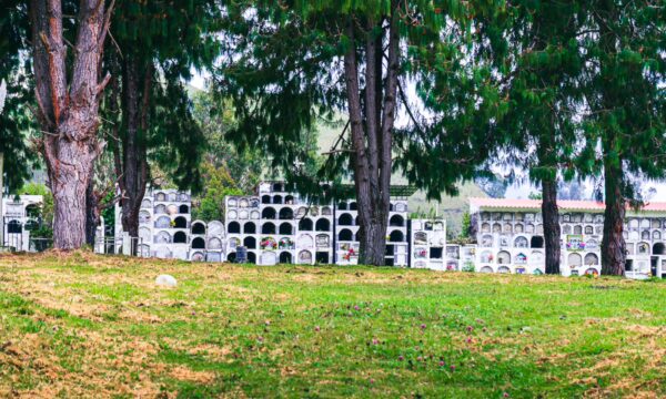 Gravesites lined with white niches among lush green grass and tall trees at the cemetery in Murillo, Tolima, Colombia.