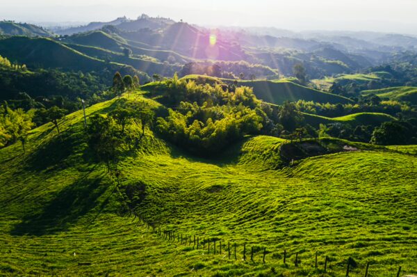 Lush green hills bask in sunlight at Mirador Colina Iluminada, Filandia, Quindío, revealing vibrant landscapes of Colombia.
