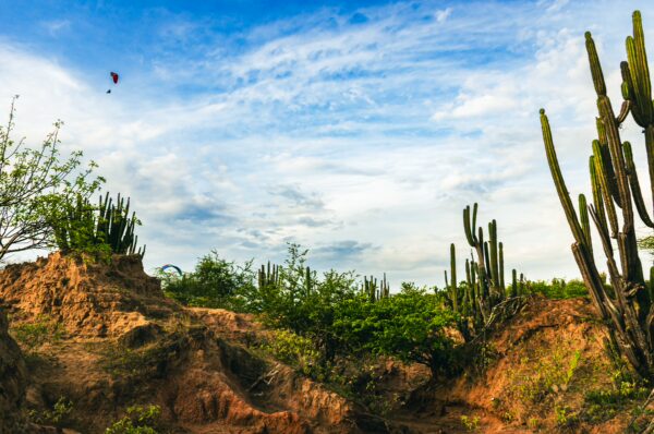 Labyrinthine rock formations and towering cacti under a vibrant sky in the Tatacoa Desert, Huila, Colombia.