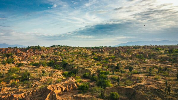 Expansive desert landscape with rugged red and brown formations, scattered green shrubs under a blue sky in Tatacoa Desert, Huila, Colombia.