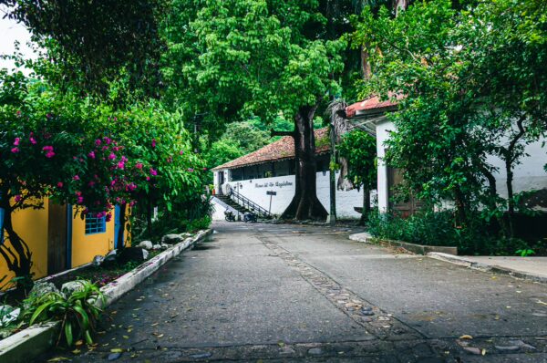 Charming cobblestone street lined with lush greenery and vibrant flowers in Honda, Tolima, Colombia.