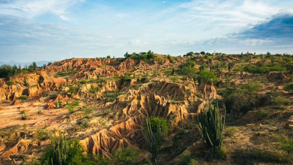 Sunlit red and orange rock formations with sparse green vegetation in the Tatacoa Desert, Huila, Colombia.