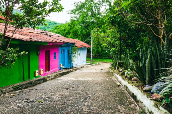 Colorful houses line a lush path in Honda, Tolima, Colombia, surrounded by vibrant greenery and tropical plants.