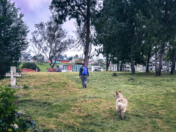 A person walks with a dog through green grass, surrounded by trees in Murillo, Tolima, Colombia, with graves visible in the background.