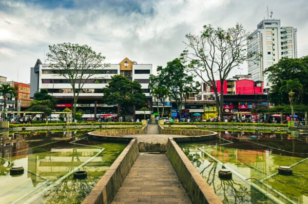 Lush greenery surrounds the tranquil water feature in Parque El Lago, Pereira, with vibrant buildings and activity in the background.
