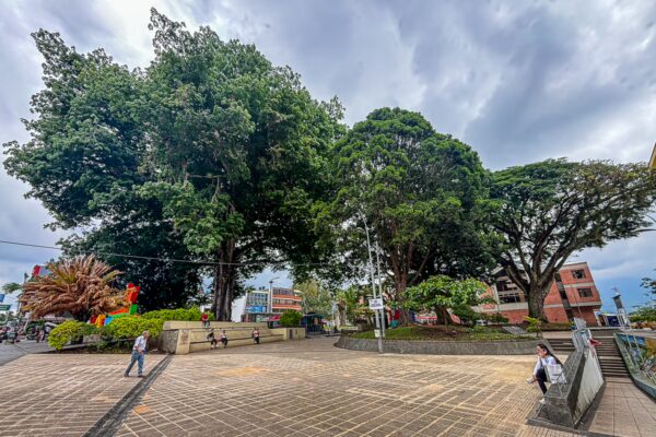 Lush trees and vibrant greenery enhance the serene atmosphere of Parque Sucre in Armenia, Quindío, Colombia.