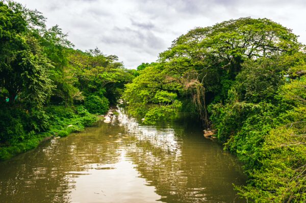 Lush greenery lines the tranquil river in Honda, Tolima, Colombia, reflecting a serene, cloud-covered sky.