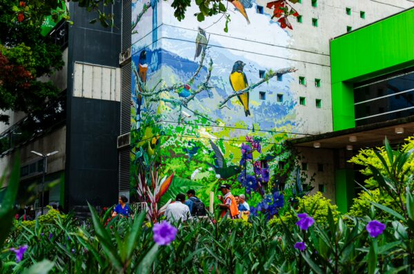 Vibrant street art featuring birds adorns a building in Armenia, Quindío, Colombia, surrounded by lush greenery and colorful flowers.