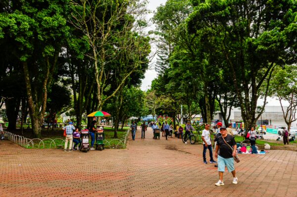 Lively streets in Alcaldía, Armenia Quindío, Colombia, lined with vibrant trees and people enjoying the park atmosphere.