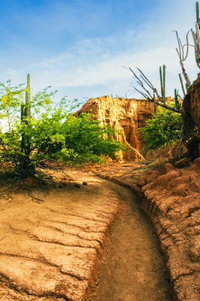 Winding path through the distinctive textured landscape and vibrant greenery of Tatacoa Desert, Huila, Colombia.