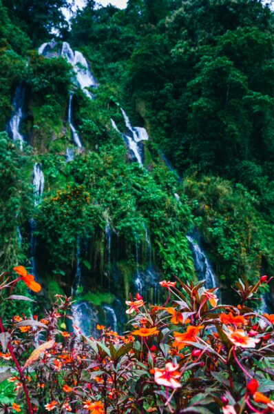 Colorful flowers in the foreground complement cascading waterfalls and lush greenery at Termales de Rosa, Risaralda, Colombia.