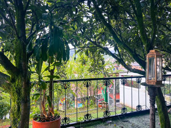 Lush greenery frames a balcony view at Casa Santa Rosa Lodge, showcasing vibrant foliage and a serene landscape in Santa Rosa, Colombia.