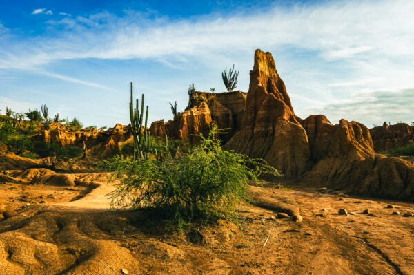 Labyrinthine rock formations and cacti dot the arid landscape of Tatacoa Desert in Huila, Colombia, under a vibrant blue sky.