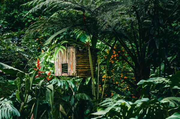 Colorful foliage surrounds a rustic wooden cabin, blending harmoniously with the lush greenery of Termales Rosa in Risaralda, Colombia.