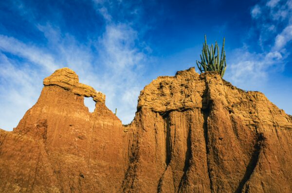 Cactus crowns striking rock formations in the unique landscape of Tatacoa Desert, Huila, Colombia. Bright blue skies enhance the scene.