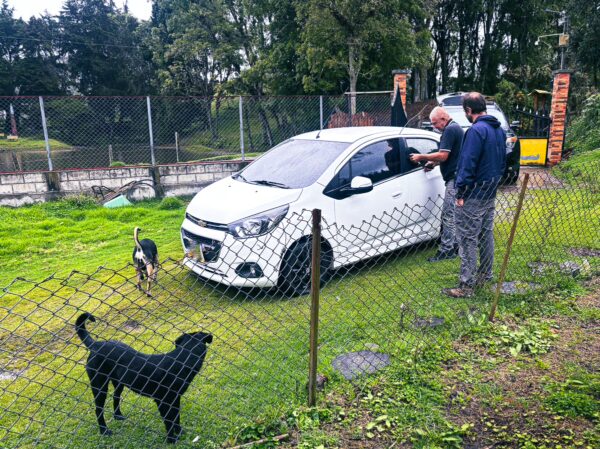 Two men interact near a white car with dogs nearby on a grassy area in Murillo, Tolima, Colombia. Lush greenery surrounds the scene.