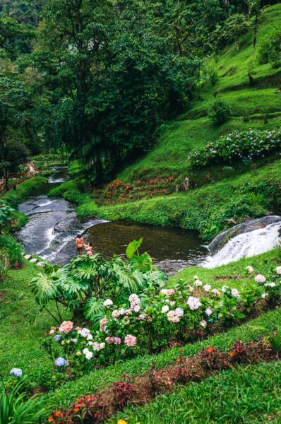 Lush greenery and vibrant flowers surround tranquil streams and small waterfalls in Termales Rosa, Risaralda, Colombia.