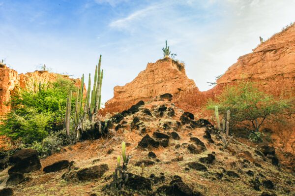 Vibrant cactus-filled landscape dominated by striking red rock formations in Tatacoa Desert, Huila, Colombia.