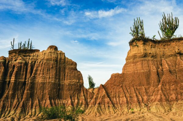 Striking brown rock formations with green cacti in the Tatacoa Desert, Huila, Colombia, under a clear blue sky.