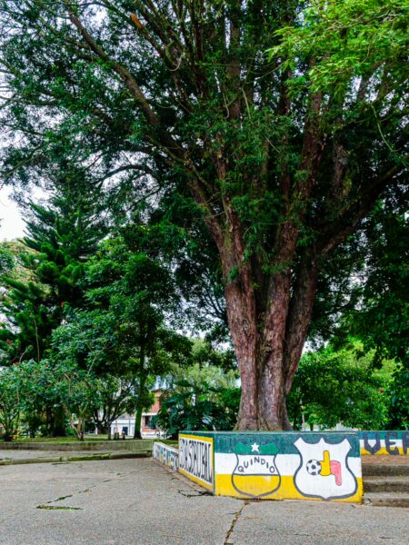 A large tree stands over a colorful mural at Parque Uribe in Armenia, Quindio, Colombia, surrounded by lush greenery.
