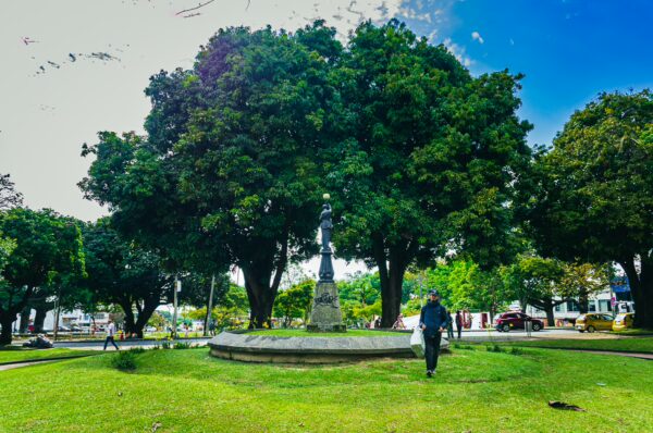 Parque Olaya Herrera features lush green trees and a central monument, creating a serene atmosphere in Pereira, Risaralda.