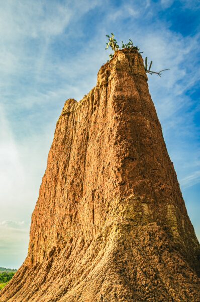 Majestic rock formations rise from the desert floor, showcasing the vibrant hues of the Tatacoa Desert in Huila, Colombia.