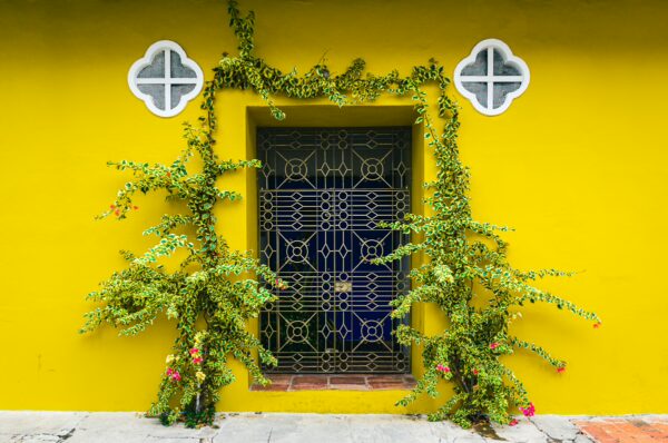 Vibrant yellow wall adorned with lush green vines framing an ornate black door in Tolima, Colombia.