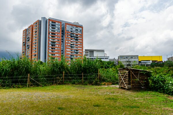 Vibrant green field with a rustic wooden structure in the foreground, framed by modern buildings in Quindío, Colombia.