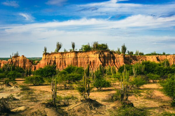 Striking red rock formations rise above a green desert landscape, dotted with cacti under a blue sky in Tatacoa Desert, Colombia.