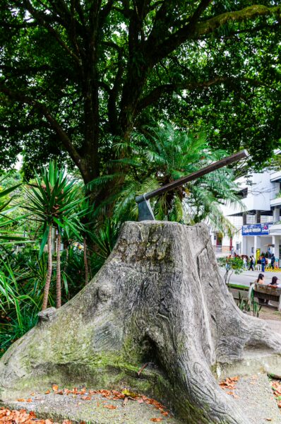 Wooden sculpture near lush greenery in Parque de los Fundadores, Armenia, Quindío, Colombia. Vibrant plants provide a natural backdrop.