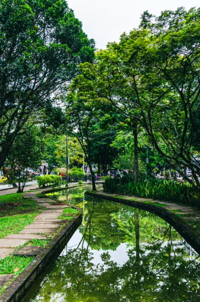Lush greenery and vibrant trees reflect in calm water at Parque de los Fundadores in Armenia, Quindio, Colombia.
