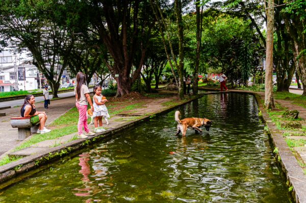 Children and a dog near a tranquil pond in Parque de los Fundadores, Armenia, Quindío, Colombia, surrounded by lush greenery.