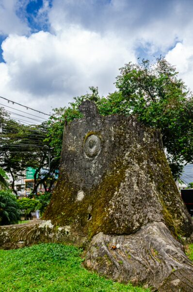 A large, weathered tree stump adorned with greenery, set against a cloudy sky in Parque de los Fundadores, Armenia, Quindío, Colombia.