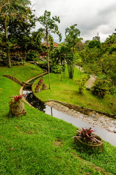 Lush greenery and vibrant plants line a winding stream in Parque de la Vida, Armenia Quindio, Colombia.