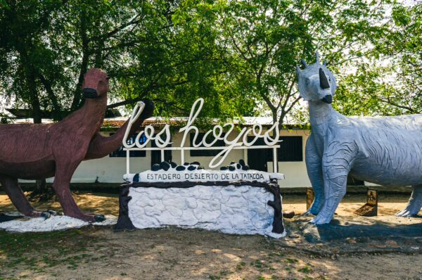 Colorful sculptures of two dogs welcome visitors to Los Hoyos in the Tatacoa Desert, Huila, Colombia, surrounded by greenery.
