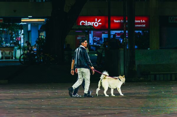 A man walks a white dog on a nighttime stroll near Plaza de Bolívar in Pereira, Risaralda, Colombia.